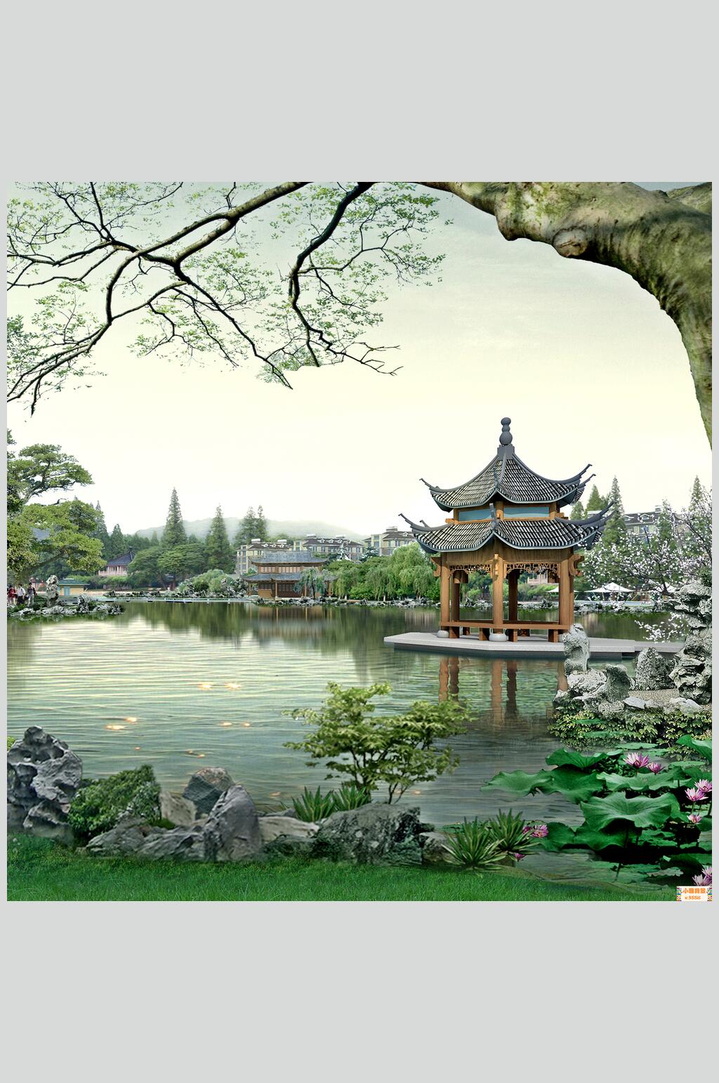 石头叶子荷花房屋拍摄背景图片素材