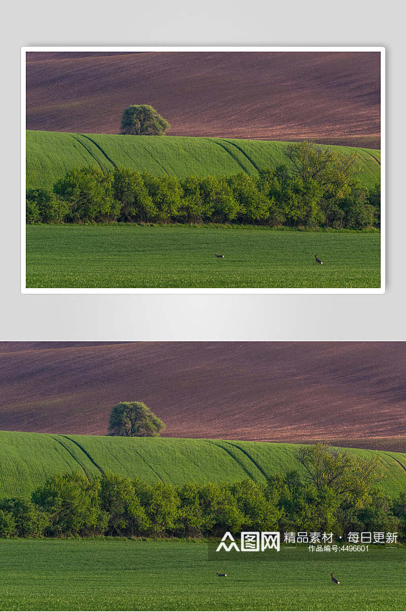 创意草原草地风景摄影高清图片素材