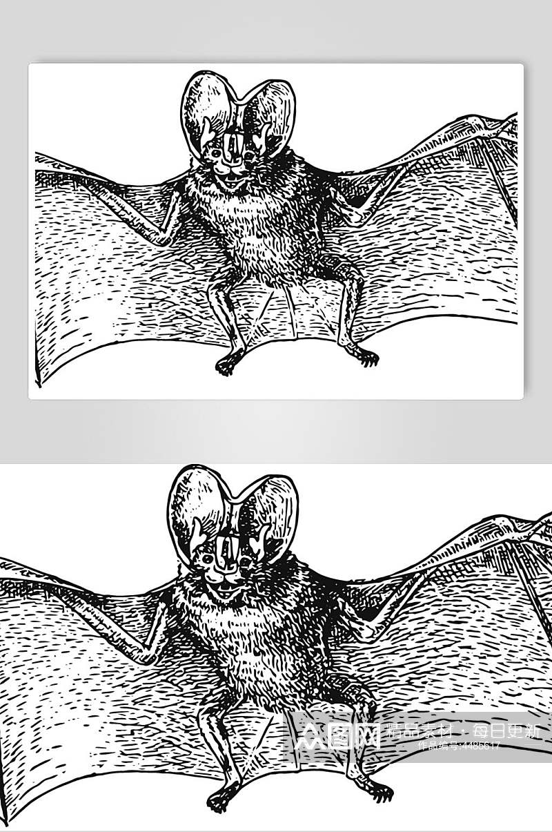 蝙蝠黑色线条动物素描手绘矢量素材素材