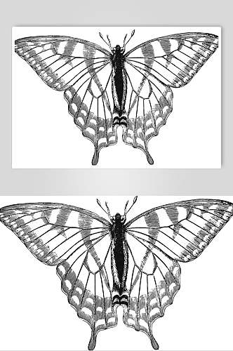 蝴蝶黑色简约动物素描手绘矢量素材