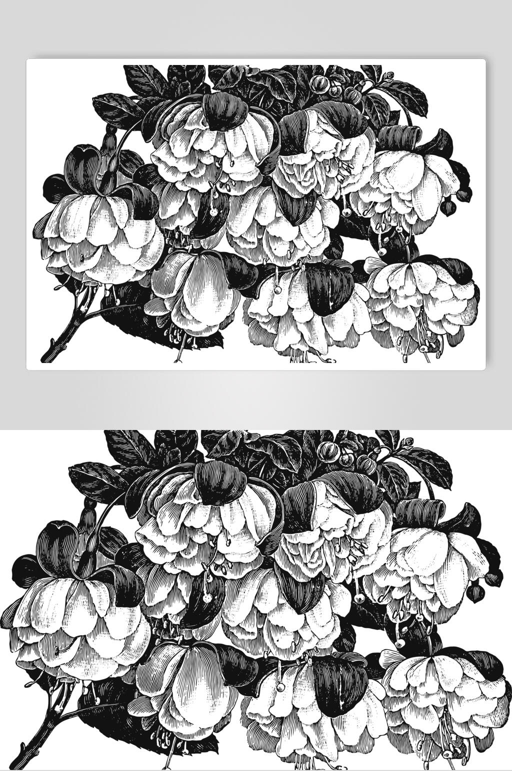 素雅黑色叶子植物花卉手绘矢量素材素材