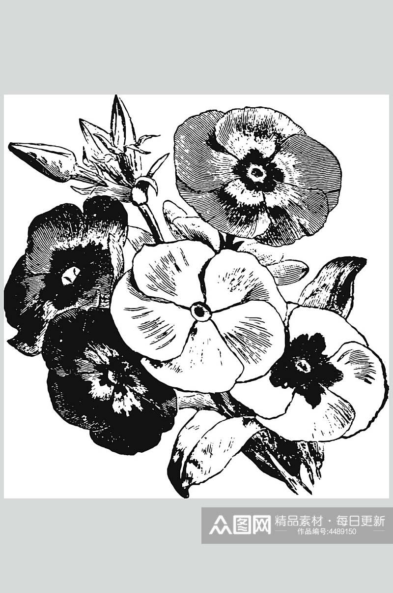 素描时尚植物花卉手绘矢量素材素材