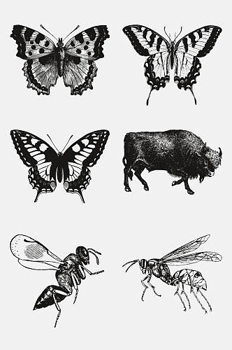 蝴蝶何似动物昆虫素描手绘免抠素材
