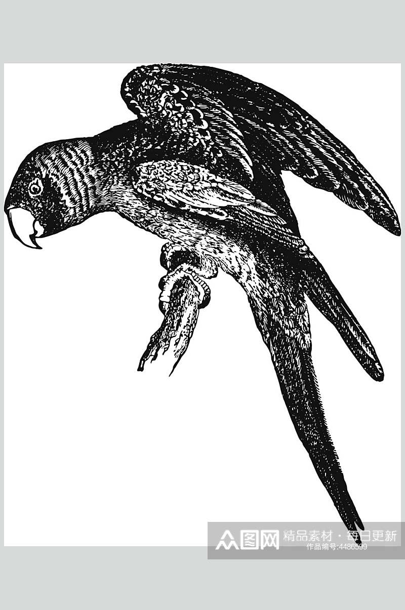 翅膀简约黑色动物素描手绘矢量素材素材