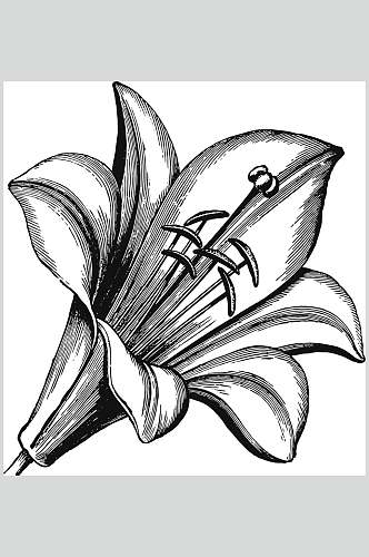 唯美黑色手绘植物花卉手绘矢量素材