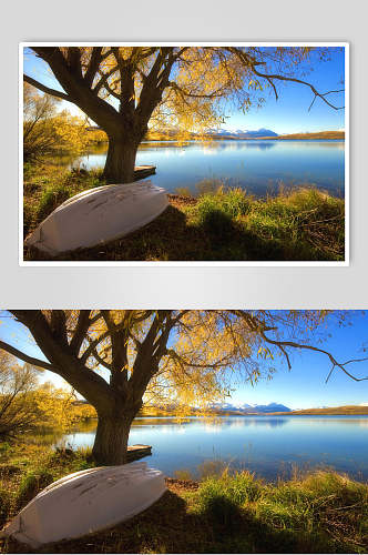 树木石头草地湖泊户外风景图片