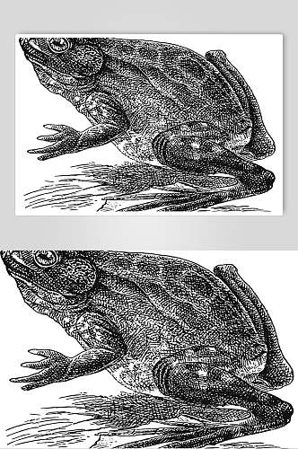 青蛙动物素描手绘矢量素材