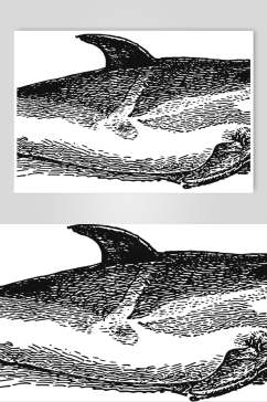 鲨鱼黑色唯美动物素描手绘矢量素材