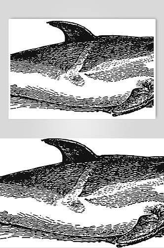 鲨鱼黑色唯美动物素描手绘矢量素材