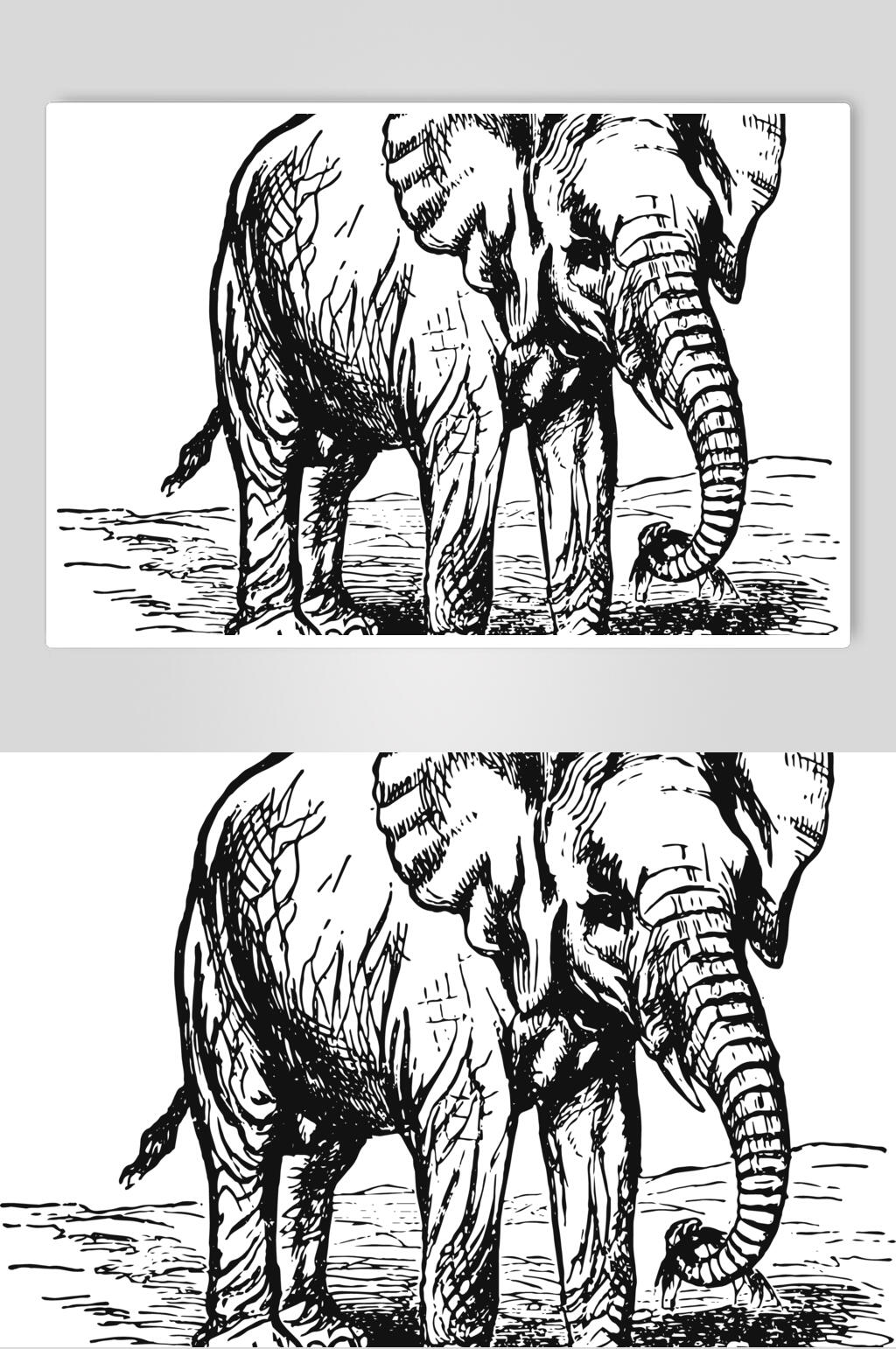 大象黑色清新动物素描手绘矢量素材素材