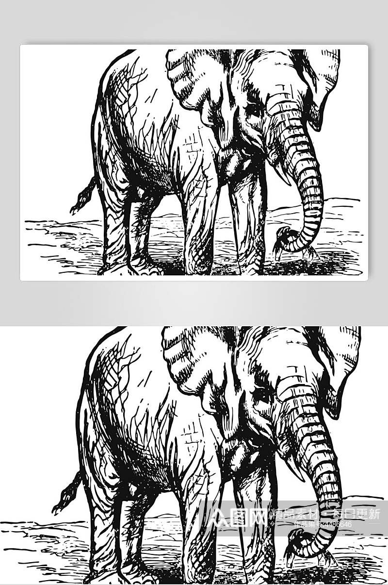 大象黑色清新动物素描手绘矢量素材素材