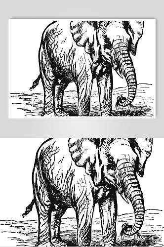 大象黑色清新动物素描手绘矢量素材