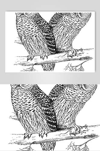 树枝猫头鹰黑动物素描手绘矢量素材