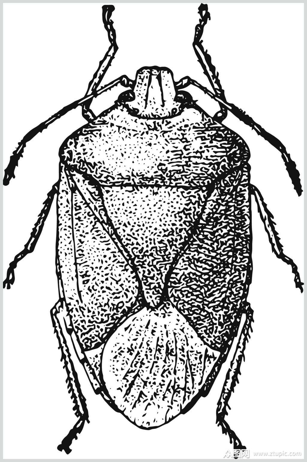 昆虫黑色简约动物素描手绘矢量素材素材