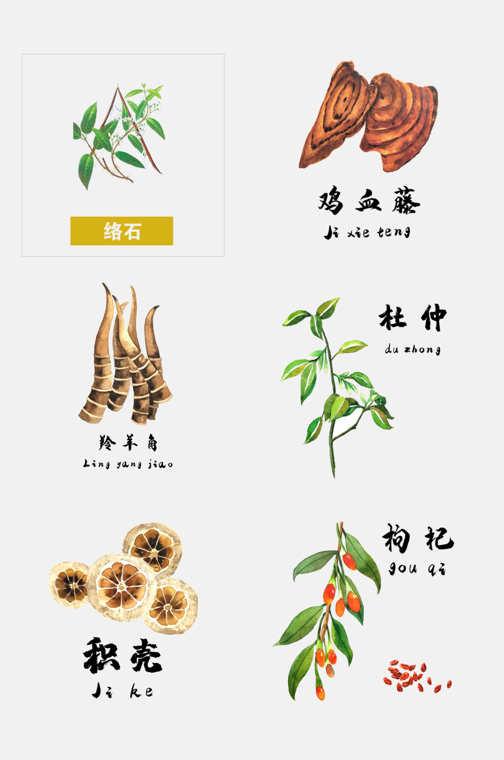 羚羊角彩色草本免抠素材素材