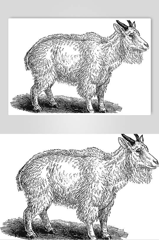 羚羊黑色简约动物素描手绘矢量素材