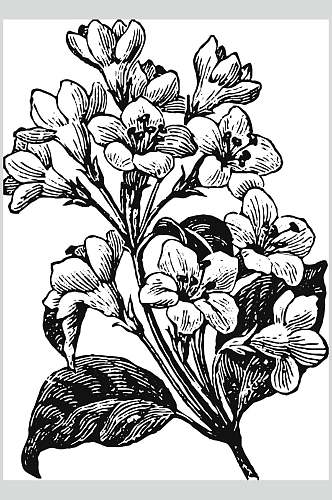 素雅黑色简约植物花卉手绘矢量素材