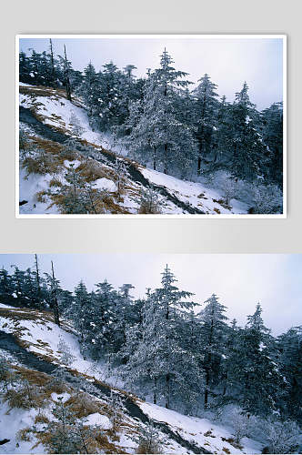 雾凇风景山川摄影图