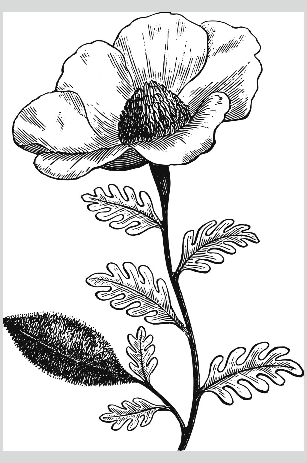 叶子线条黑色植物花卉手绘矢量素材素材