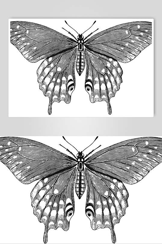 蝴蝶手绘黑色动物素描手绘矢量素材
