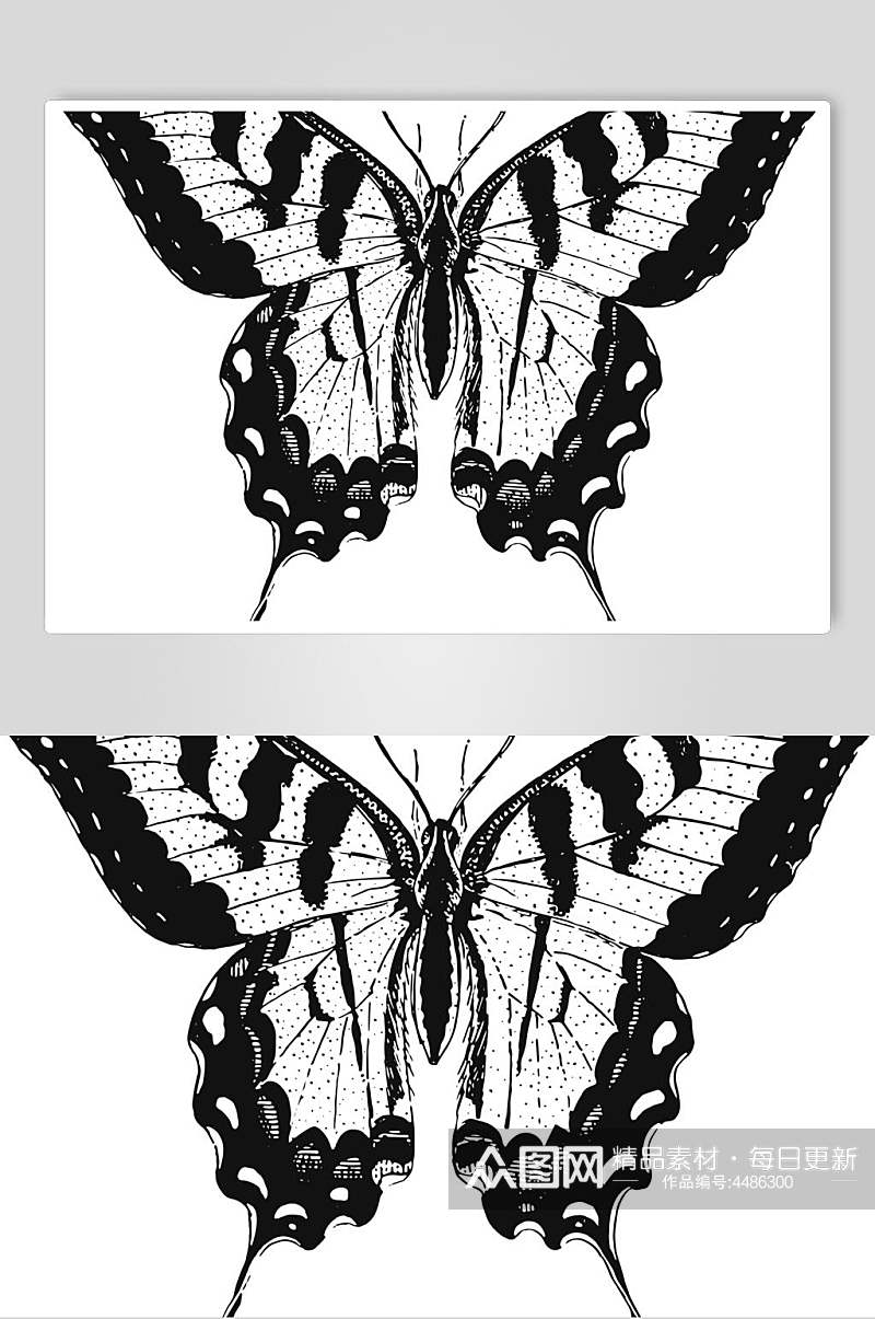 蝴蝶唯美黑色动物素描手绘矢量素材素材