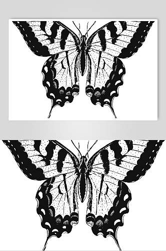 蝴蝶唯美黑色动物素描手绘矢量素材