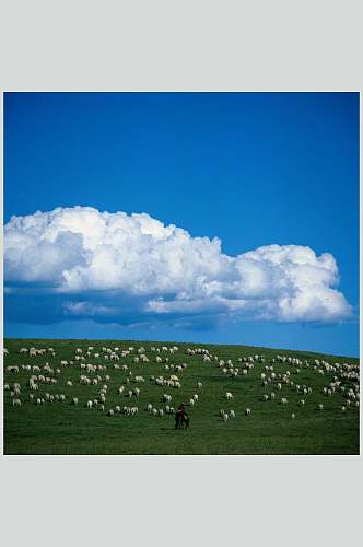 羊群大自然风光摄影图