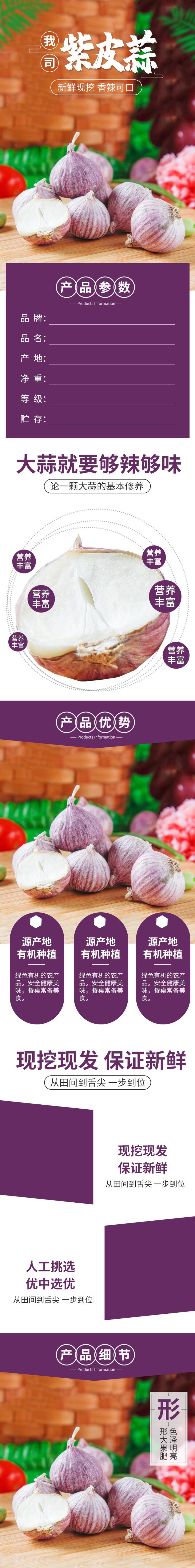 紫皮蒜蔬菜电商详情页素材