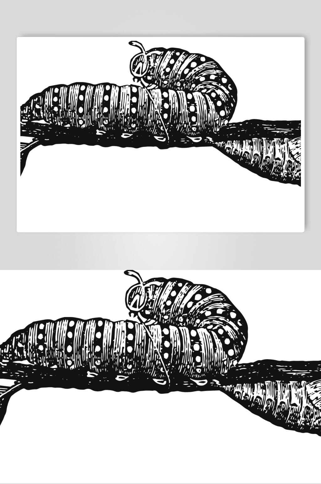 黑色蝉蛹简约动物素描手绘矢量素材素材