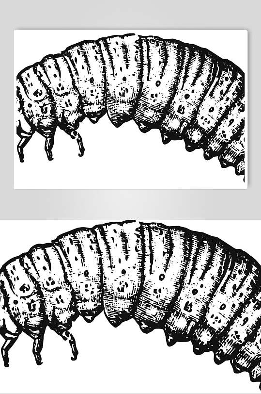蝉蛹黑色清新动物素描手绘矢量素材-众图网
