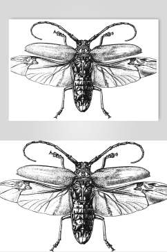 翅膀昆虫简约动物素描手绘矢量素材