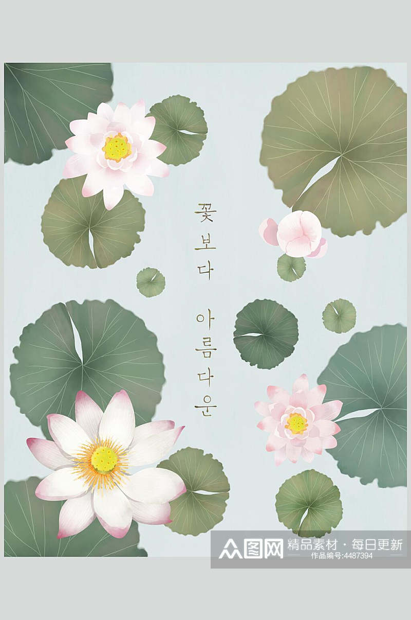 创意韩文荷花荷叶简约绿色花卉素材素材