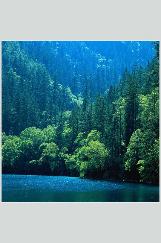 森林河流大自然风光摄影图