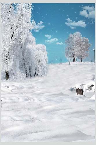 雪地场景背景图片