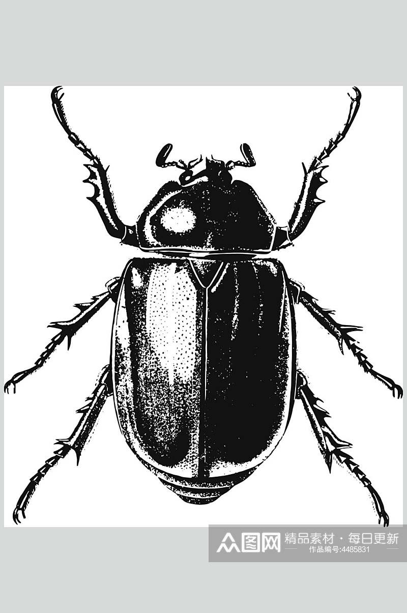 甲虫黑色简约动物素描手绘矢量素材素材