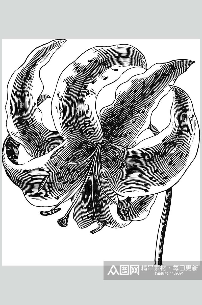 简约创意植物花卉手绘矢量素材素材
