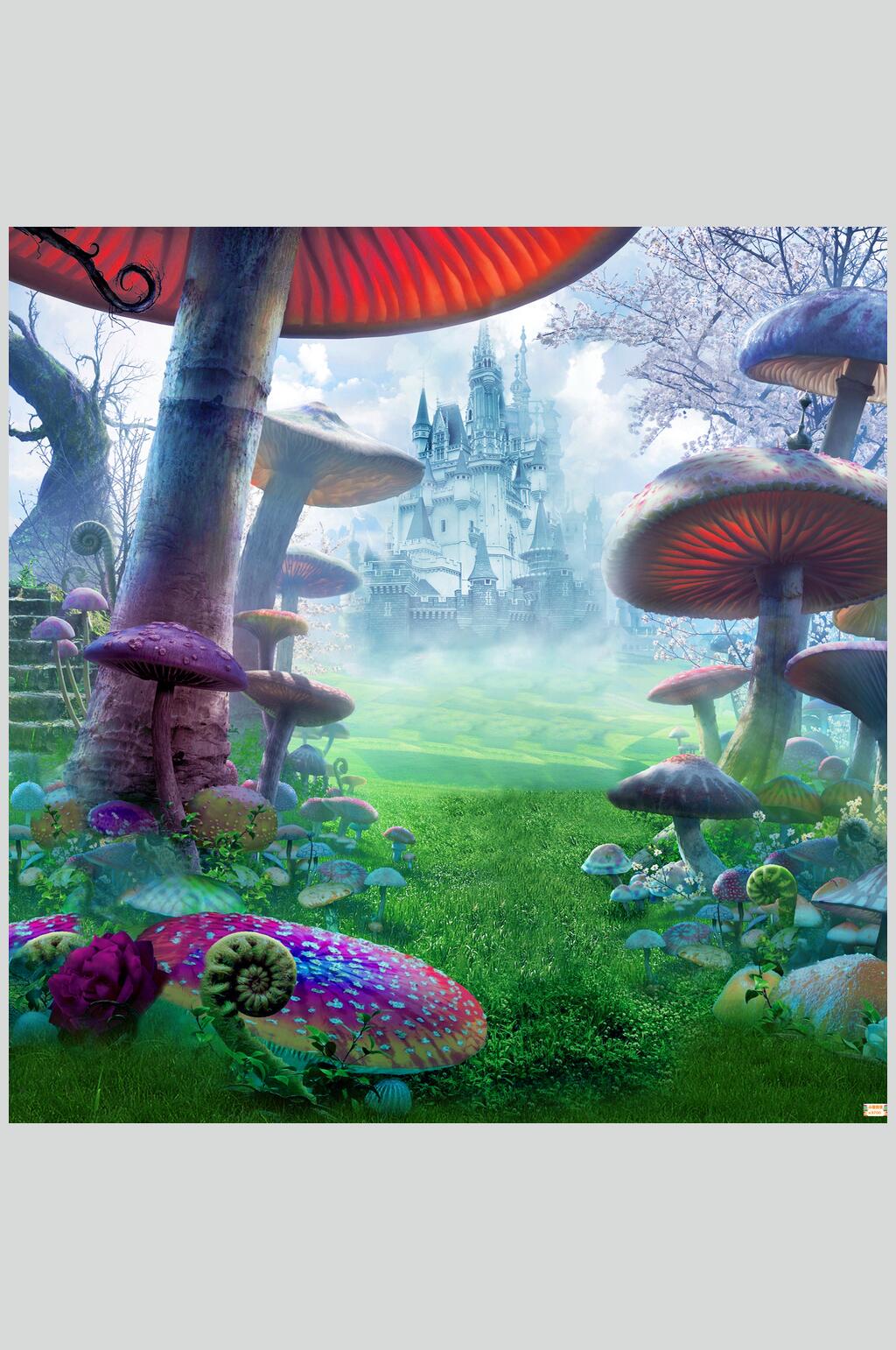 蘑菇绿草地拍摄背景图片素材