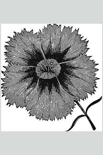 素雅黑色清新植物花卉手绘矢量素材
