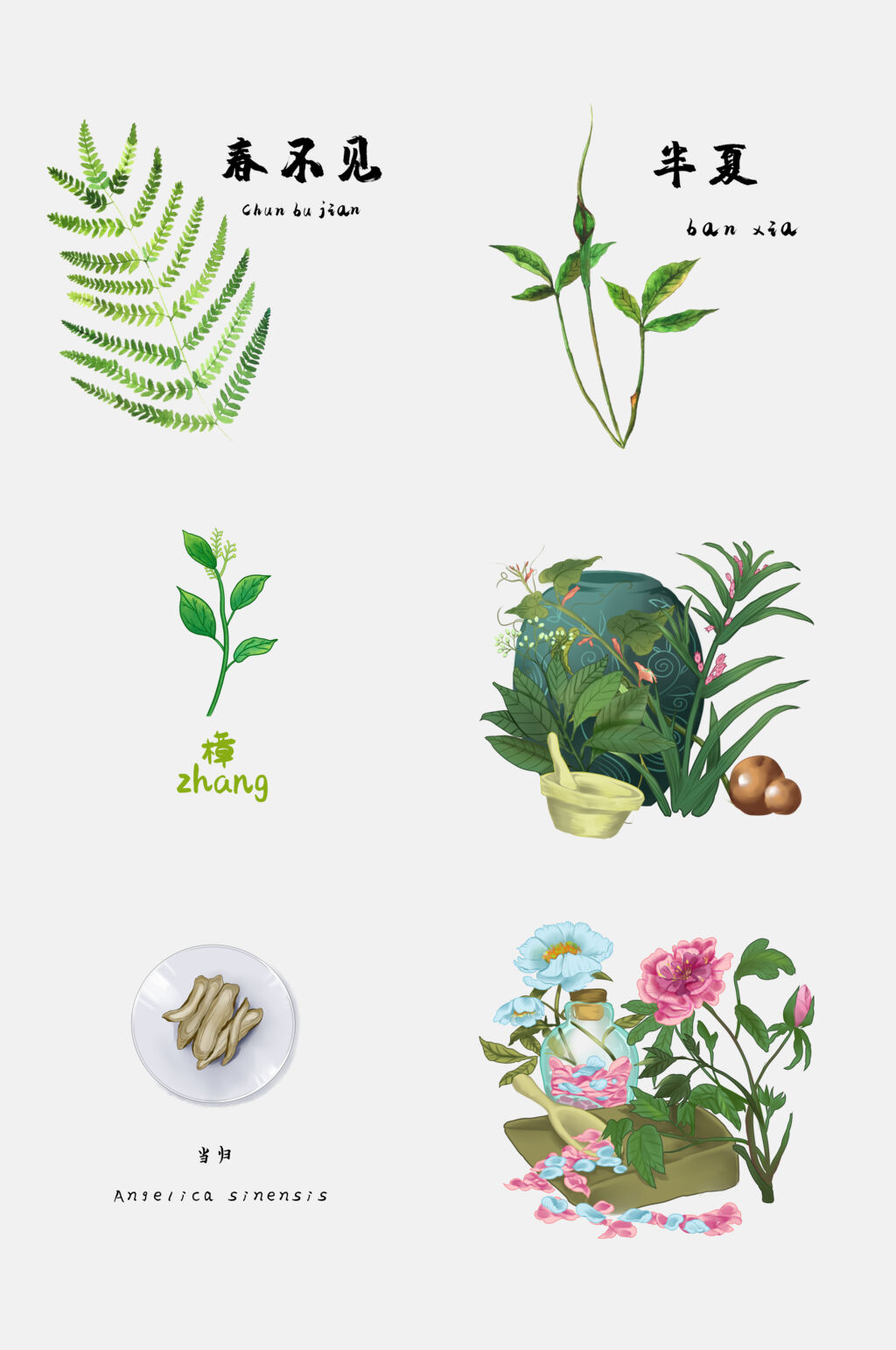 春不见彩色草本免抠素材素材