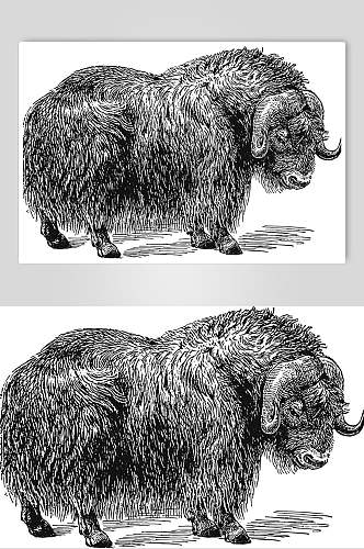 盘山羊动物素描手绘矢量素材