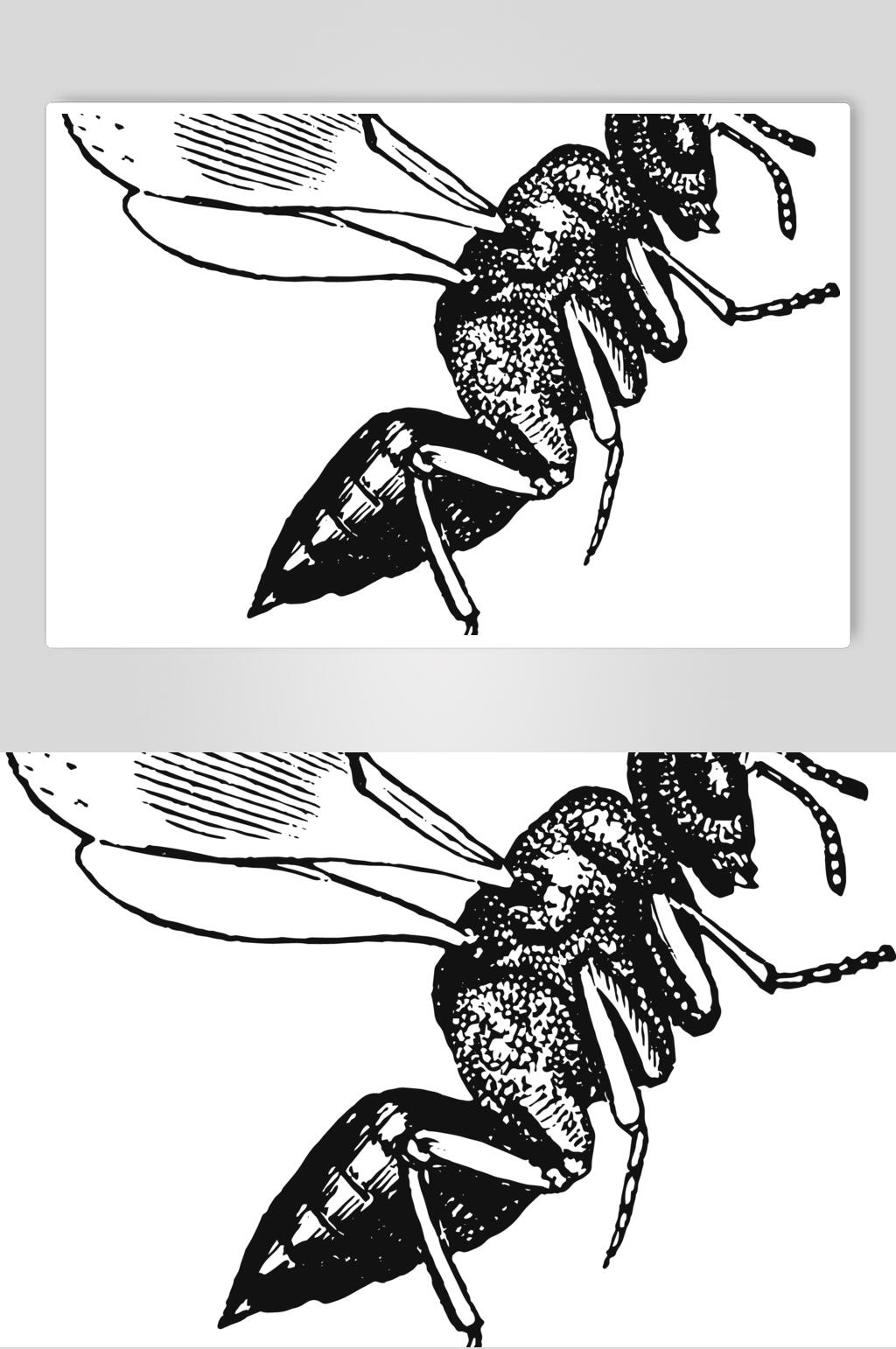 翅膀黑色清新动物素描手绘矢量素材素材