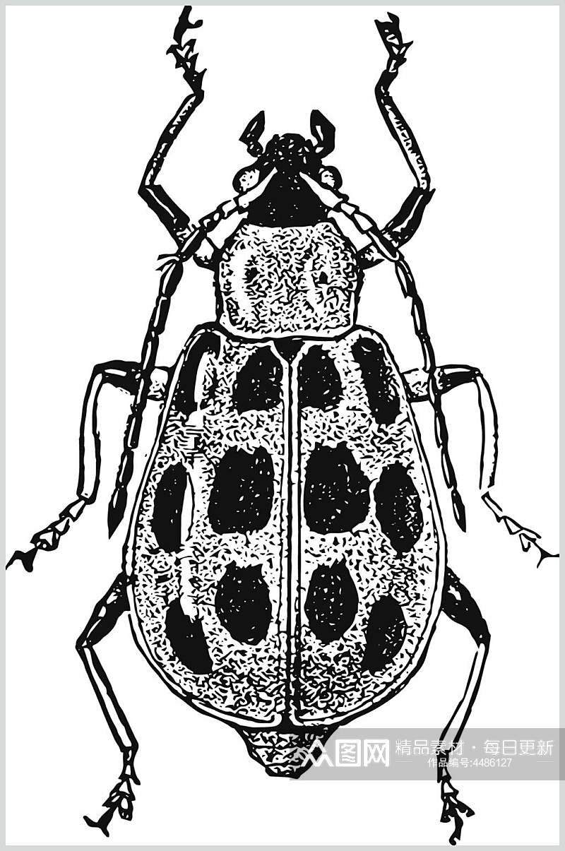 昆虫黑色清新动物素描手绘矢量素材素材