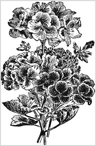 素雅叶子黑色植物花卉手绘矢量素材