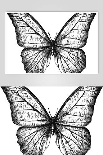 蝴蝶黑色清新动物素描手绘矢量素材