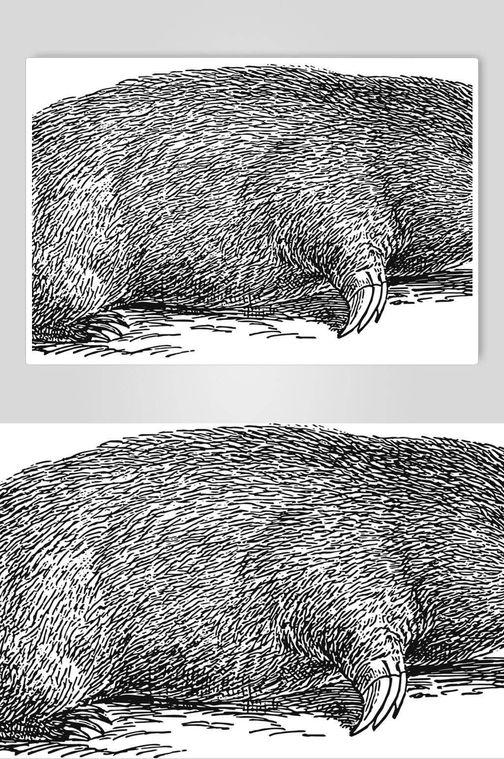 线条黑色手绘动物素描手绘矢量素材素材