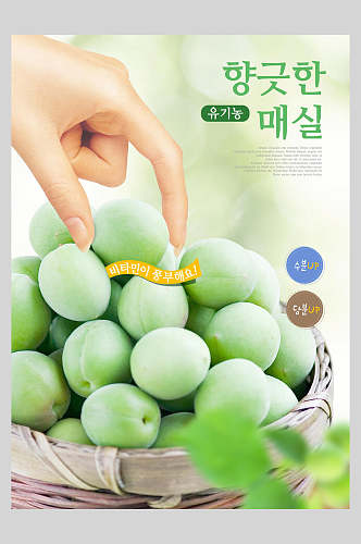 青色韩文水果生鲜海报