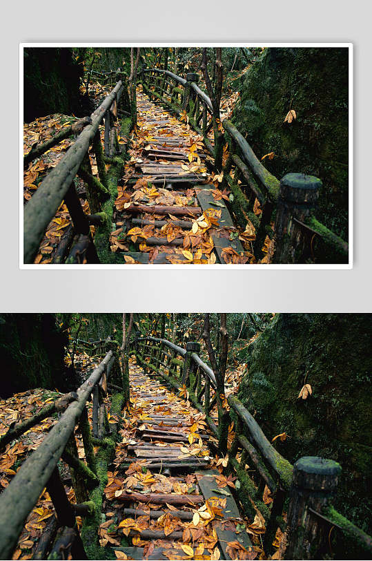 大自然楼梯落叶风光摄影图