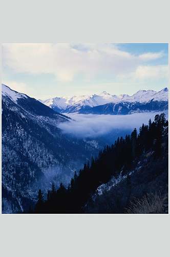 大山森林大自然风光摄影图