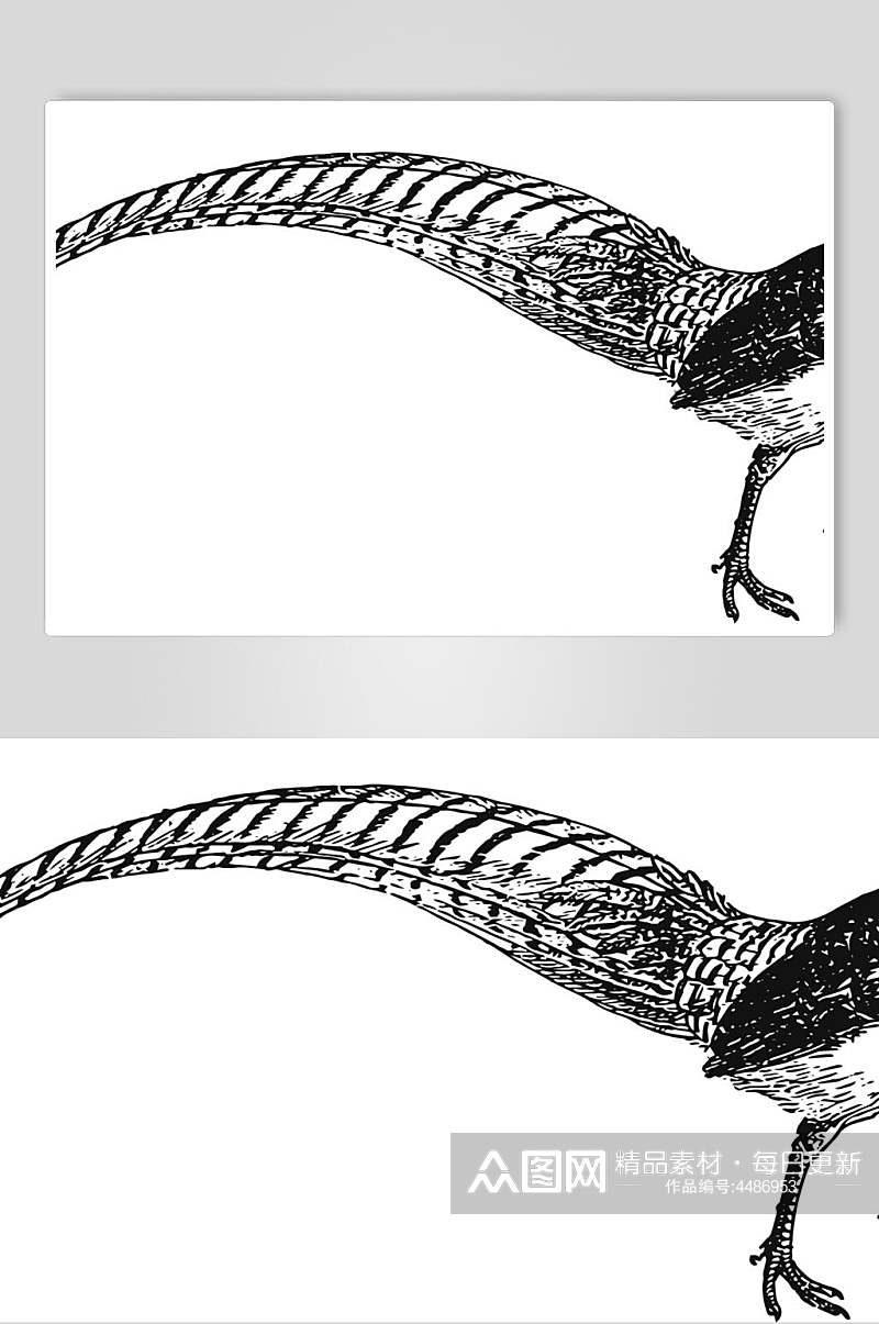 尾巴黑色清新动物素描手绘矢量素材素材