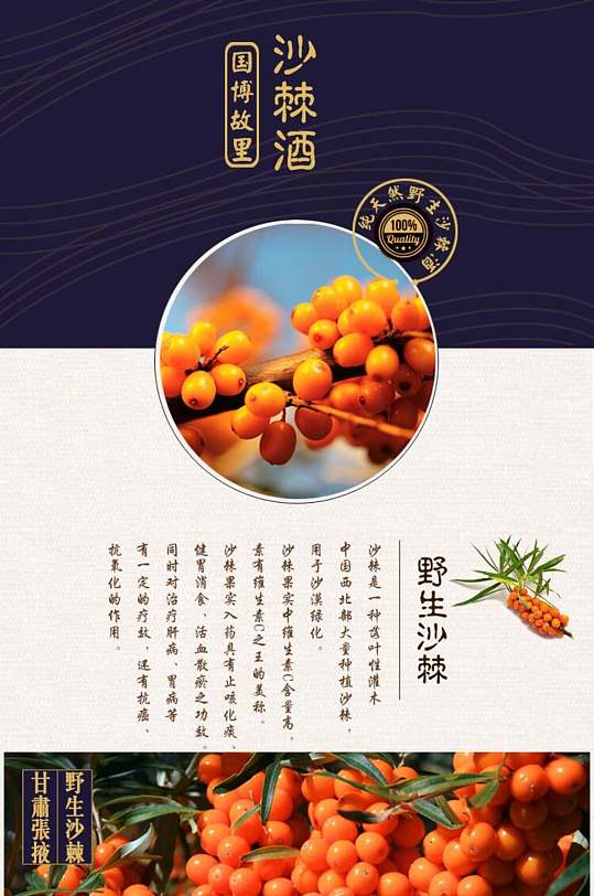 沙棘酒果酒电商详情页